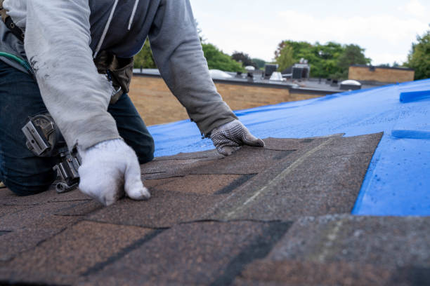 Best Rubber Roofing (EPDM, TPO)  in Wagener, SC